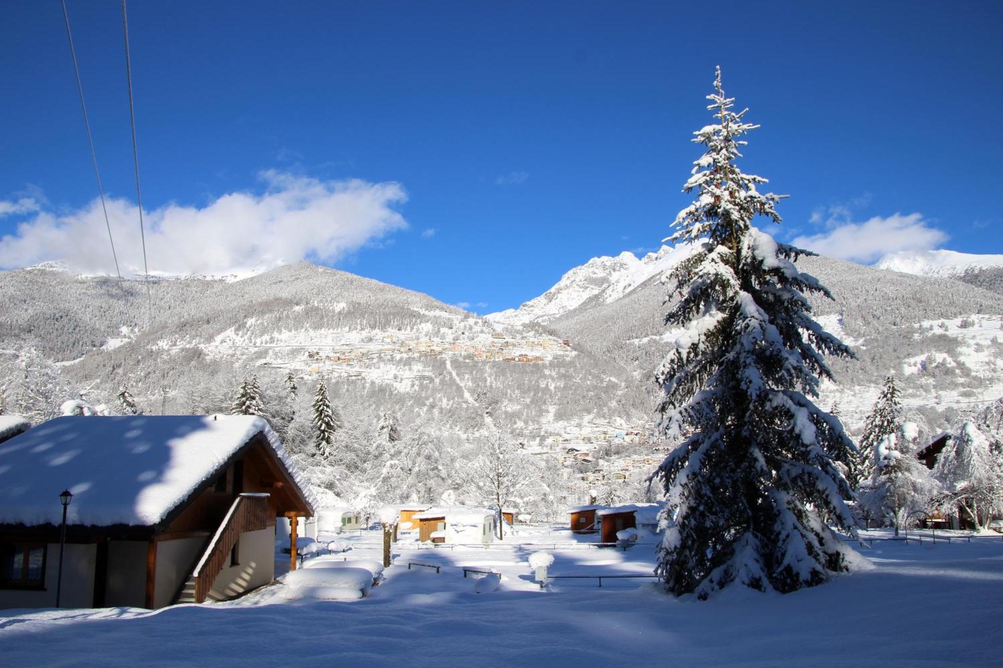 Chalet Presanella Temù Exterior foto